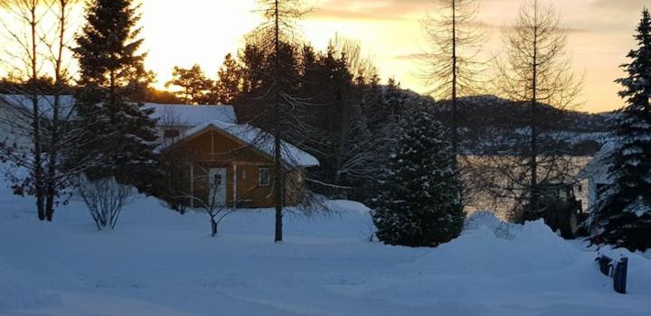 Gjestehus Pa Bondegard, Med Batutleie Namsos Exterior foto