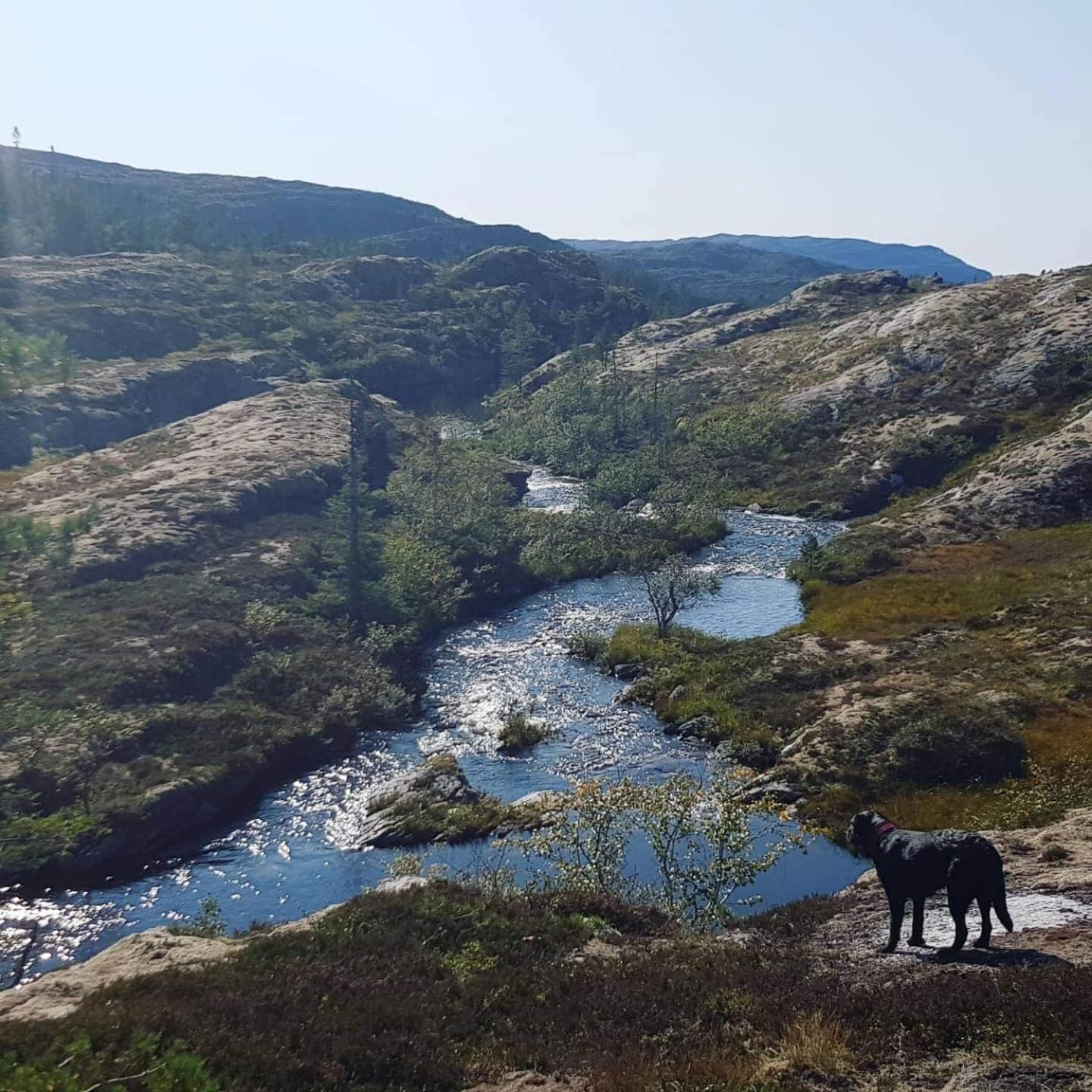 Gjestehus Pa Bondegard, Med Batutleie Namsos Exterior foto