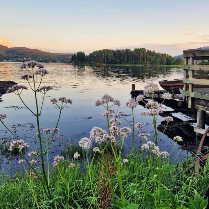 Gjestehus Pa Bondegard, Med Batutleie Namsos Exterior foto