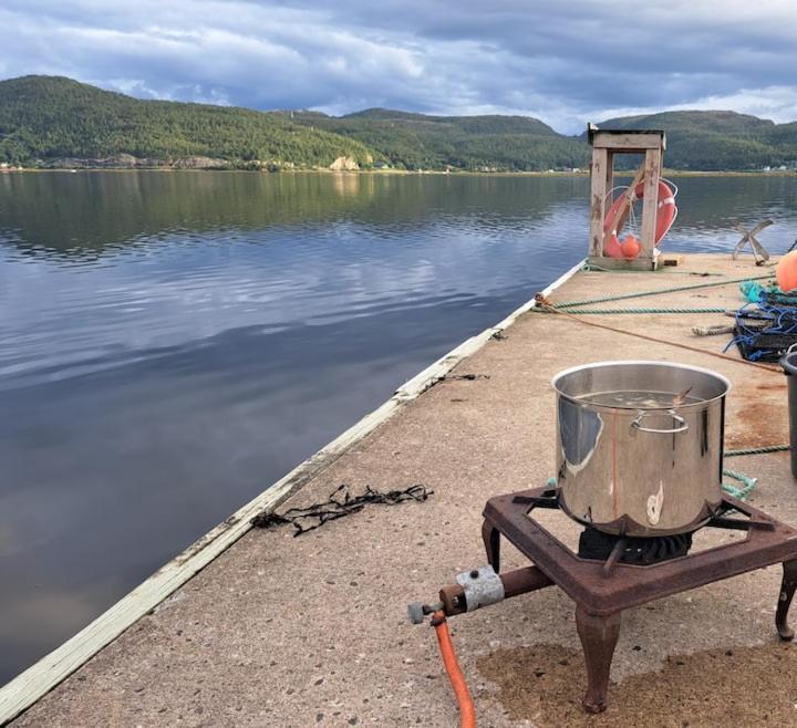 Gjestehus Pa Bondegard, Med Batutleie Namsos Exterior foto